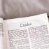 Journeying Through the Exodus: Tracing the Footsteps of the Early Hebrews small image